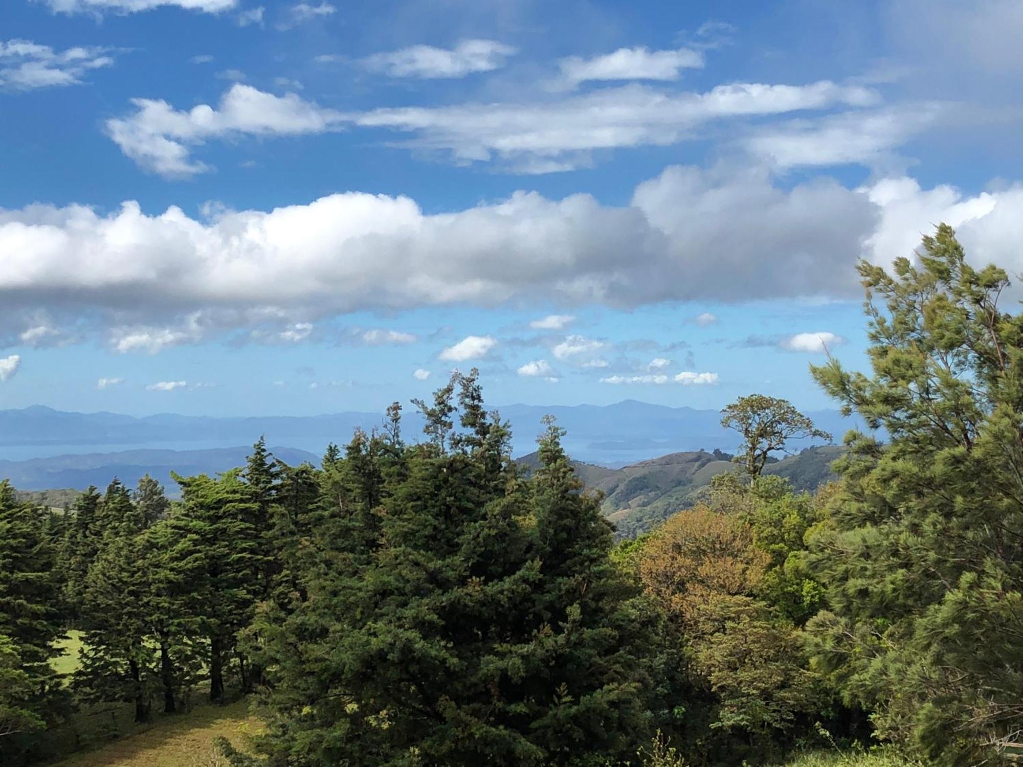 Apartamento Artesana Monteverde Dış mekan fotoğraf